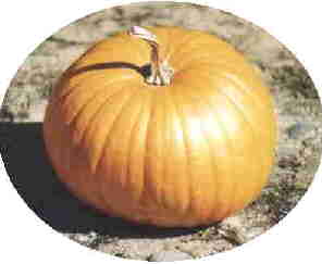 pumpkin4.jpg (5578 bytes)